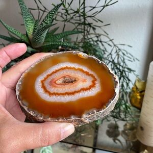 Geode Agate Sliced Polish Stone Rusty Orange White Brown 4”x3” 1/2 + Thick